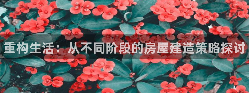 意昂体育3招商