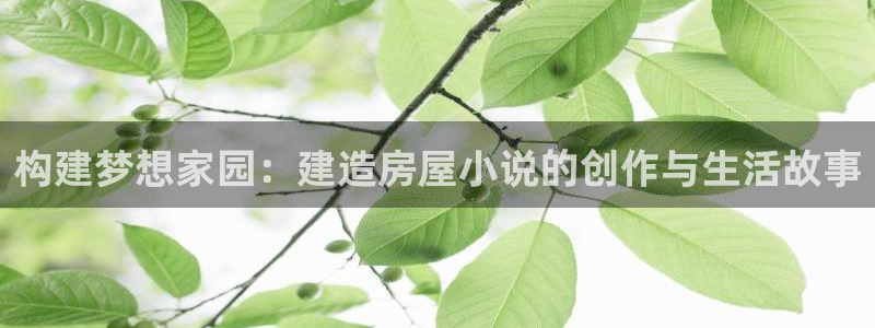 意昂体育3联系电话：构建梦想家园：建造房屋小说的创作与生活故事