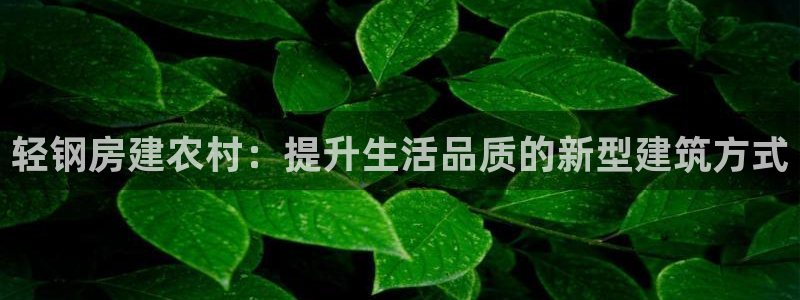 意昂3集团E.ON