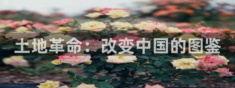 意昂3官网