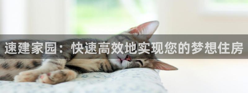 意昂体育3是干嘛的公司：速建家园：快速高效地实现您的梦想住房