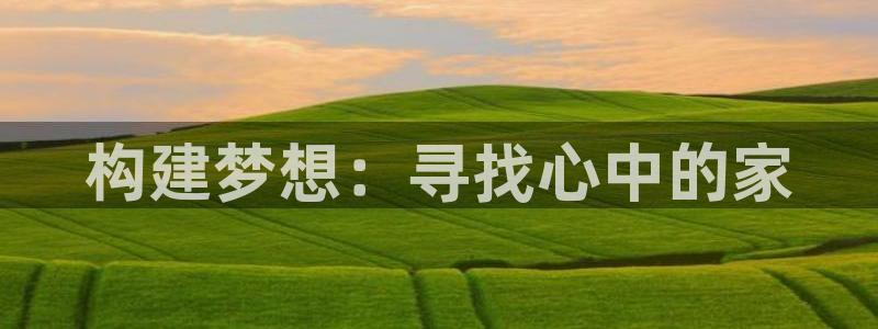 意昂体育3是干嘛的公司：构建梦想：寻找心中的家