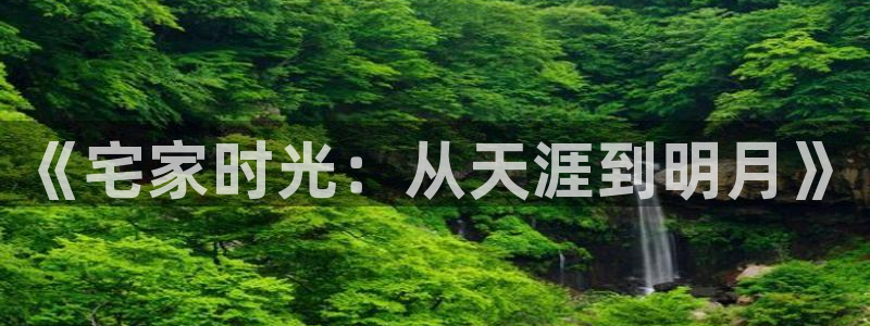 意昂体育3招商电话是多少啊：《宅家时光：从天涯到明月》