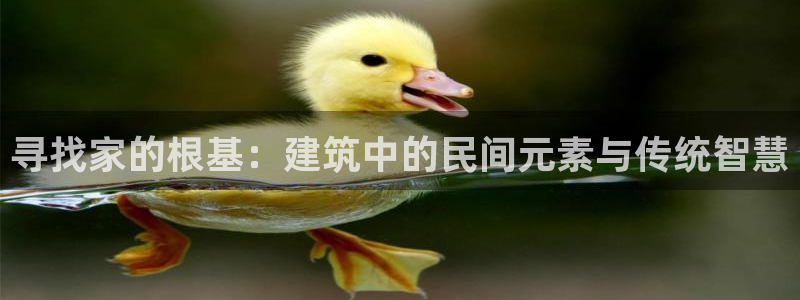 意昂3五金厂：寻找家的根基：建筑中的民间元素与传统智慧