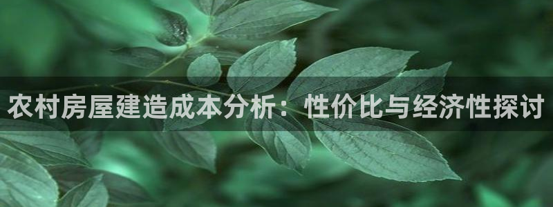 意昂体育3招商电话地址查询：农村房屋建造成本分析：性价比与经济性探讨