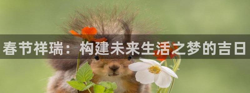 意昂3娱乐网站：春节祥瑞：构建未来生活之梦的吉日