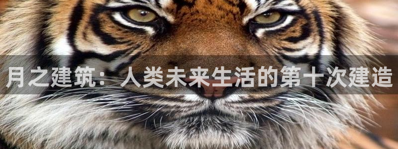 意昂体育3平台注册流程图：月之建筑：人类未来生活的第十次建造