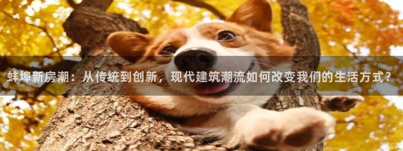 意昂体育3平台：蚌埠新房潮：从传统到创新，现代建筑潮流如何改变我们的生活方式？