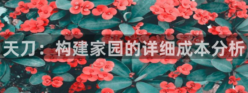 意昂体育3招商电话号码：天刀：构建家园的详细成本分析