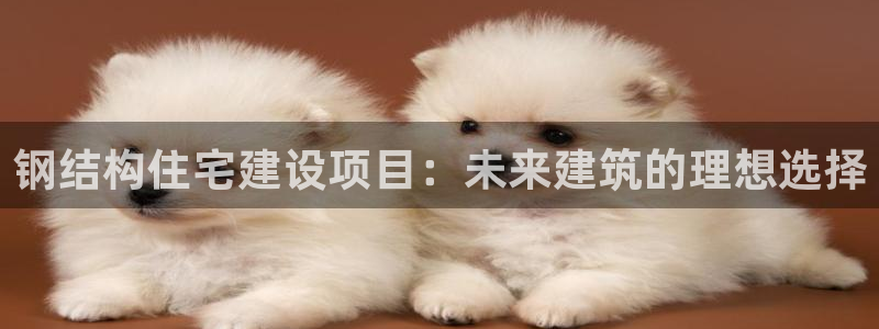 意昂体育3招商电话号码：钢结构住宅建设项目：未来建筑的理想选择