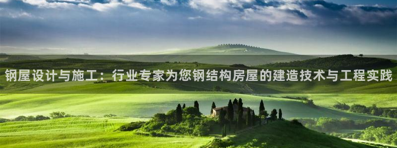意昂3娱乐首页网站大全：钢屋设计与施工：行业专家为您钢结构房屋的建造技术与工程实践