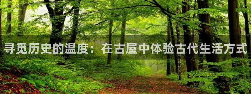 意昂3新能源：寻觅历史的温度：在古屋中体验古代生活方式