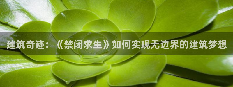 意昂平台体育：建筑奇迹：《禁闭求生》如何实现无边界的建筑梦想