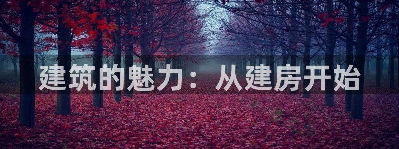 意昂体育3平台是正规平台吗安全吗：建筑的魅力：从建房开始