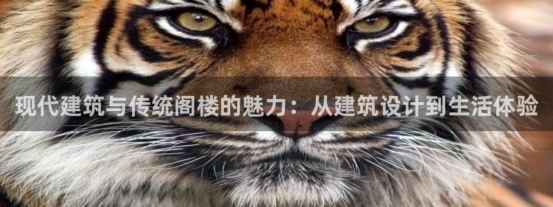 意昂3集团官网首页网址：现代建筑与传统阁楼的魅力：从建筑设计到生活体验
