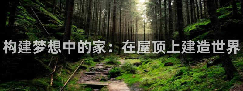 意昂体育3官方客服电话：构建梦想中的家：在屋顶上建造世界
