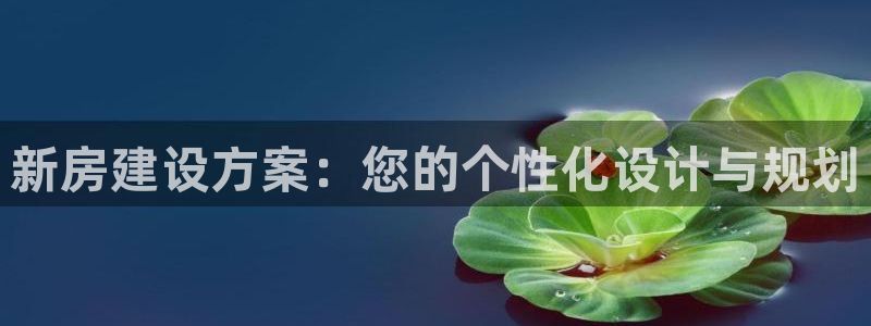 意昂3官方：新房建设方案：您的个性化设计与规划