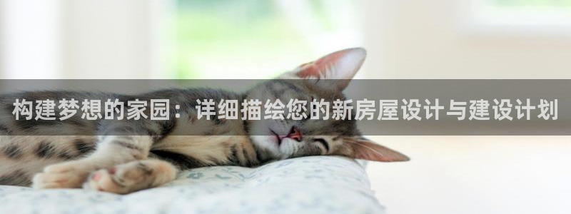 意昂平台体育：构建梦想的家园：详细描绘您的新房屋设计与建设计划