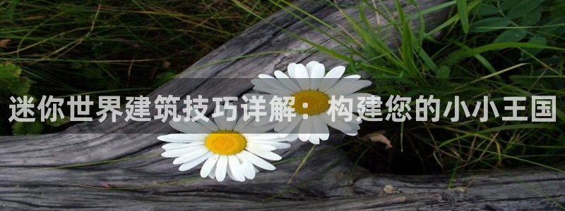 意昂体育3平台是正规平台吗：迷你世界建筑技巧详解：构建您的小小王国