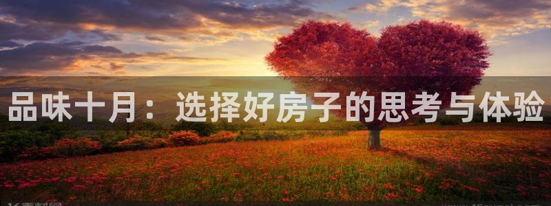 意昂体育3招商：品味十月：选择好房子的思考与体验