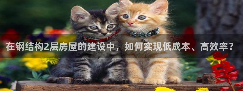 海南意昂体育3发展怎么样：在钢结构2层房屋的建设中，如何实现低成本、高效率？