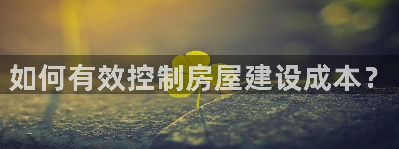 意昂3集团E.ON：如何有效控制房屋建设成本？