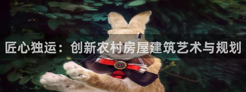 意昂体育3招商电话地址是多少：匠心独运：创新农村房屋建筑艺术与规划