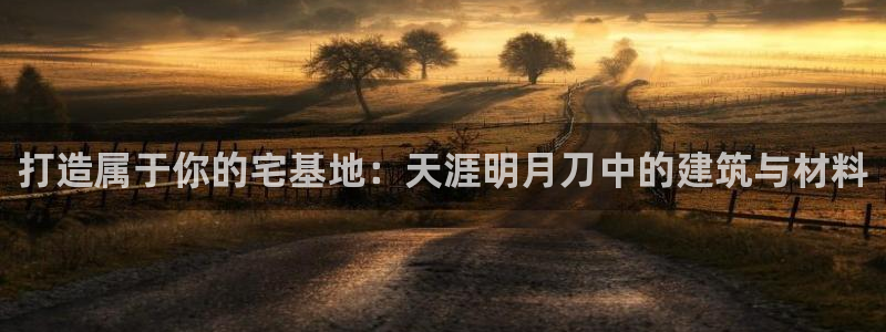 海南意昂体育3：打造属于你的宅基地：天涯明月刀中的建筑与材料