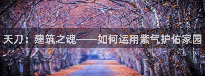 意昂3神州：天刀：建筑之魂——如何运用紫气护佑家园