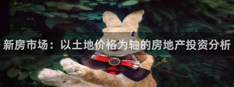 意昂体育3平台注册：新房市场：以土地价格为轴的房地产投资分析