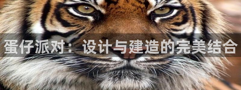 意昂集团官网：蛋仔派对：设计与建造的完美结合