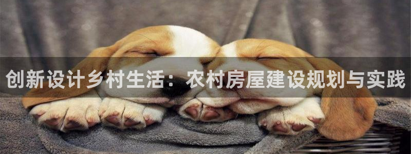 意昂3娱乐代理怎么样：创新设计乡村生活：农村房屋建设规划与实践
