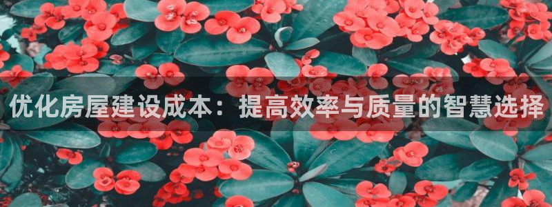 意昂3娱乐平台：优化房屋建设成本：提高效率与质量的智慧选择