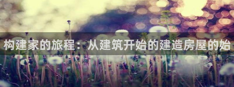 意昂体育3平台是正规平台吗知乎：构建家的旅程：从建筑开始的建造房屋的始