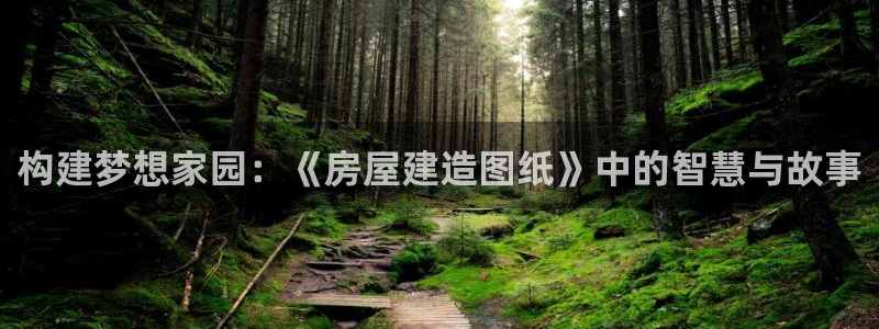 意昂3集团E.ON：构建梦想家园：《房屋建造图纸》中的智慧与故事