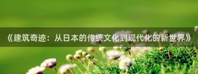 意昂3科技：《建筑奇迹：从日本的传统文化到现代化的新世界》