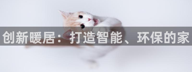 意昂3神州：创新暖居：打造智能、环保的家