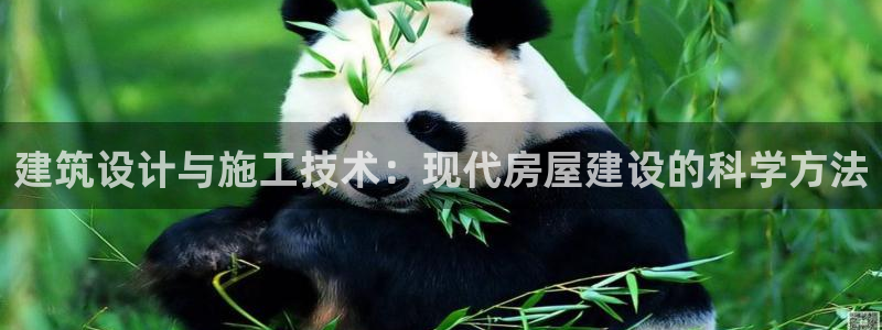 意昂3娱乐首页网站大全：建筑设计与施工技术：现代房屋建设的科学方法