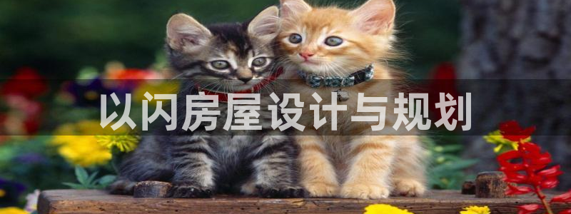 意昂3娱乐下载：以闪房屋设计与规划