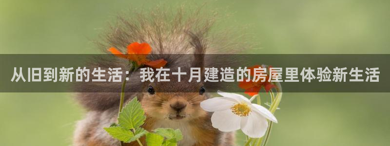意昂体育3开户：从旧到新的生活：我在十月建造的房屋里体验新生活