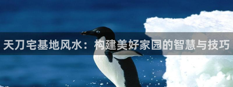 意昂体育3招商电话号码：天刀宅基地风水：构建美好家园的智慧与技巧