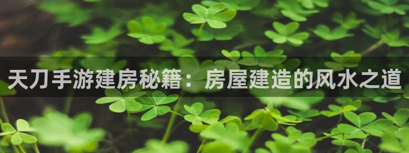 意昂3开户：天刀手游建房秘籍：房屋建造的风水之道