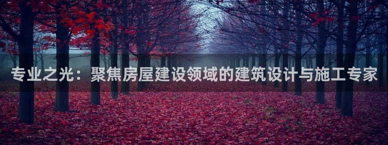 意昂3五金厂：专业之光：聚焦房屋建设领域的建筑设计与施工专家