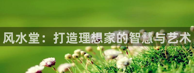 意昂体育3娱乐：风水堂：打造理想家的智慧与艺术