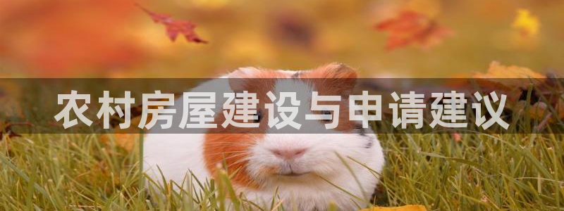 意昂3集团E.ON：农村房屋建设与申请建议