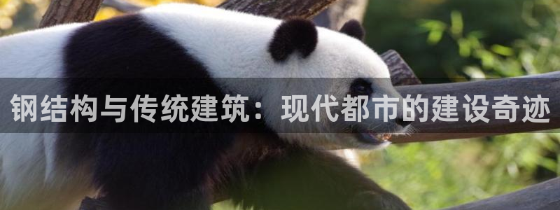 意昂体育3官方客服电话