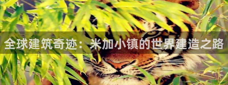 意昂3集团：全球建筑奇迹：米加小镇的世界建造之路