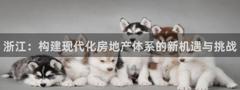 意昂体育3注册：浙江：构建现代化房地产体系的新机遇与挑战