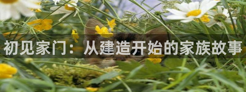意昂体育3招商电话是多少啊：初见家门：从建造开始的家族故事
