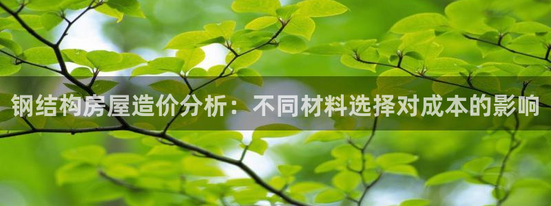 意昂体育3平台注册流程图：钢结构房屋造价分析：不同材料选择对成本的影响